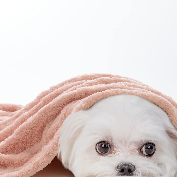 MIULEE Деки для собак 70x100 см, м'яка ковдра для тварин, флісова підстилка для собак, котів, кроликів, рожева, середній розмір (70*100 см)