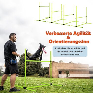 Набір для аджиліті для собак: перешкоди, стрілки для слалому, обладнання для тренувань. Регульована висота, 104x70x101 см, зелений