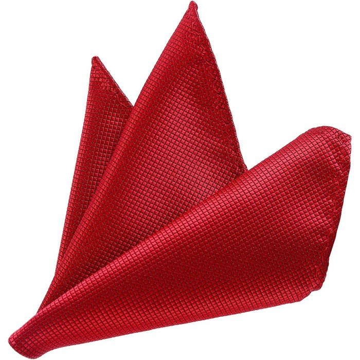 Метелик чоловічий DonDon бордового кольору з нагрудною хустинкою, регульований розмір