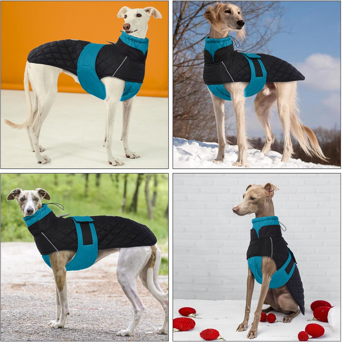 Windhound Warm Winter Coat, Greyhound Coat Adjustable Outdoor Greyhound Dog Jacket with Harness Hole Warm Dog Clothing Greyhound/Saluki (3XL, Blue)