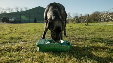 Набір для собак: годівниця та пляшка для води 4 л - портативні, зі зручним ручним захватом, стабільний диспенсер для води, компактний аксесуар для кемпінгу та подорожей з собакою