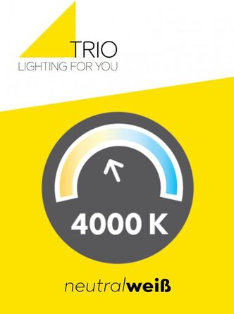 Trio Leuchten LED Bathroom Wall Light Mattimo 283274106, Metal Chrome, White Plastic, 4.3 Watt LED