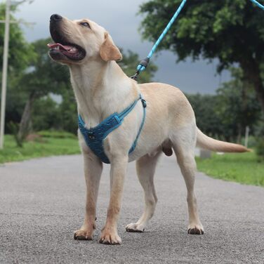 Нашийник для собак середніх та маленьких порід, цуценят, анти-тяга, безпечний, світловідбиваючий, м'який, регульований (Сірий)