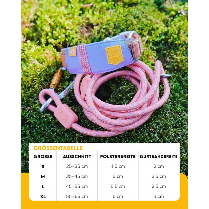 Нашийник для собак середнього розміру Woolly Wolf Alpha 360, колір Гляцієрово-зелений - екологічний, світловідбиваючий, для підвищеної безпеки при поганій видимості (L)