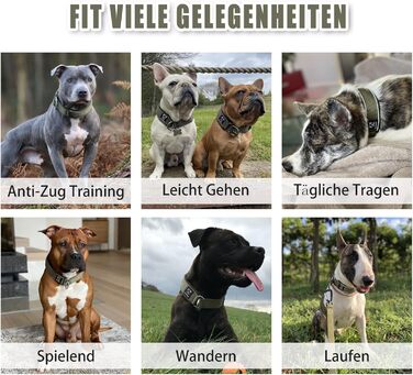Нашийник для собак з м'якого неопрену (4 см ширина), світловідбиваючий, з міцного нейлону та стопором, зручний, для дресирування, проти потягування, розмір L (армійний зелений, обхват шиї 45-56 см)