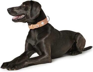 Нашийник для собак HUNTER Swiss з м'якої шкіри, ручної роботи, розмір M-L (60), колір: бежевий/натуральний