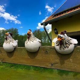 Керамічні фігурки курей для саду D-Rings – декоративні садові статуетки, гачки для огорожі, прикраса для двору, садова декорація, зовнішній садовий орнамент, декоративна фігура курки, садовий штекер для подвір'я