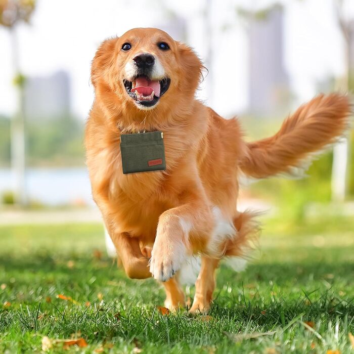 2 шт. Сумки-лейкобеги для дресирування собак, сумка для винагороди, портативна, для цуценят, прогулянки без рук, автоматичний дозатор корму для собак, корекція поведінки цуценят, подорожі або зелено-сірого кольору