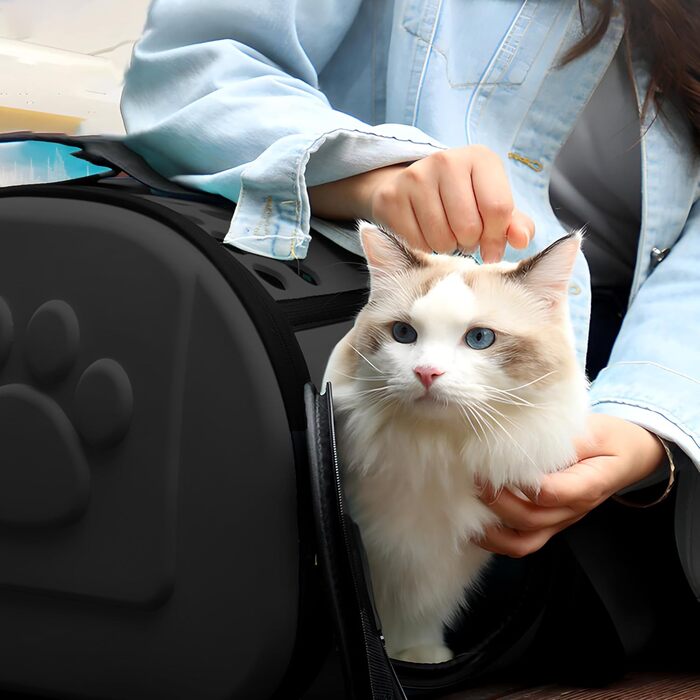 Транспортна переноска для кота/собаки Retoo, чорна, складана, для маленьких тварин (кіт, собака, кролик, цуценя)