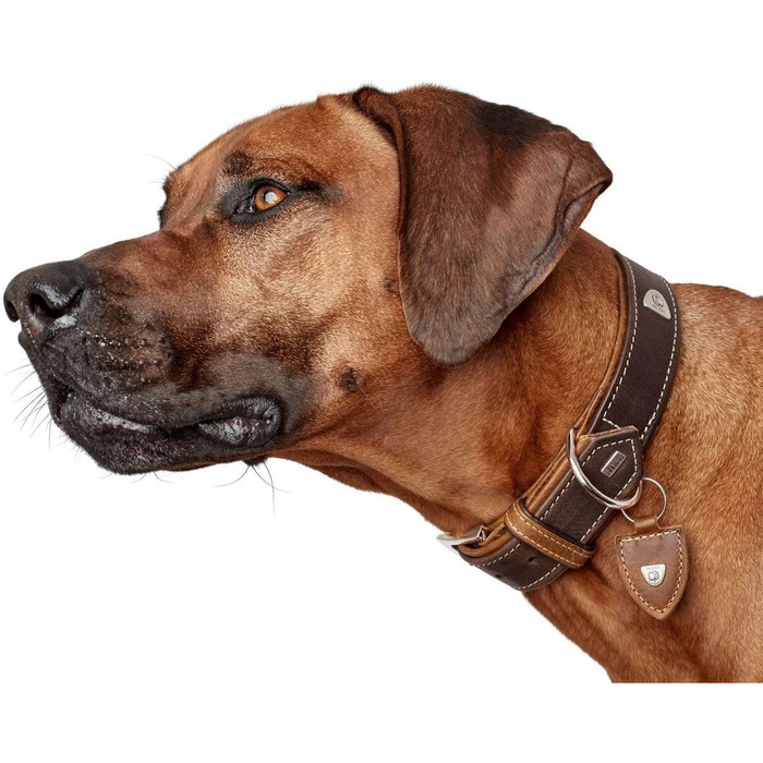 Нашийник для собак Hunter Tara, шкіряний, юхтеншпілер, міцний, стійкий до погодних умов, розмір M, темно-коричневий/cognac