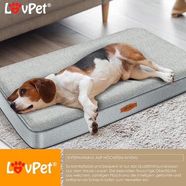 Lovpet® Orthopedic Dog Bed, Dog Cushion, Dog Basket Cookie, Incl. Bowl + 3X Chew Bones, Dog Sofa for Small, Medium & Large Dogs, Removable and Washable Cover, L 91x69x7.6 cm Anthracite (L (91 x 69 x 7.6 cm), Grey / Light Grey)