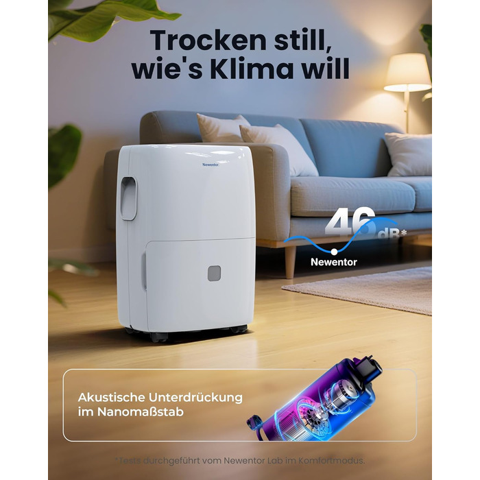 Електричний осушувач повітря Newentor 25L - для підвалу, дому, 215 м³/80 м², з таймером, фільтром, 10 років гарантії