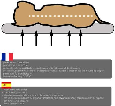 Ортопедична лежанка для собак Diluma Benji - лежанка для тварин з знімним чохлом - лежанка для собак Беж - 100 x 65 x 10 см (L, S 72 x 50 x 8 см)