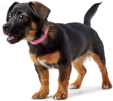 Нашийник для собак HUNTER MODERN ART LUXUS, штучна шкіра, стрази, розмір 37 (XS-S), рожевий/білий