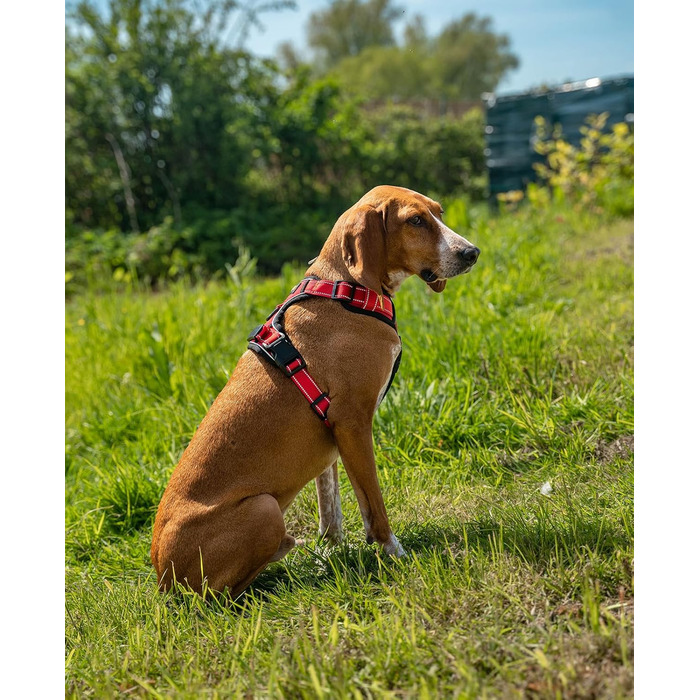 Нашийник для собак Lionto з м'якого нейлону, світловідбиваючий, анти-тяга, з 2 кільцями та 4 ремінцями, двома застібками-кліпсами та гумовим ручним тримачем (S, Червоний)