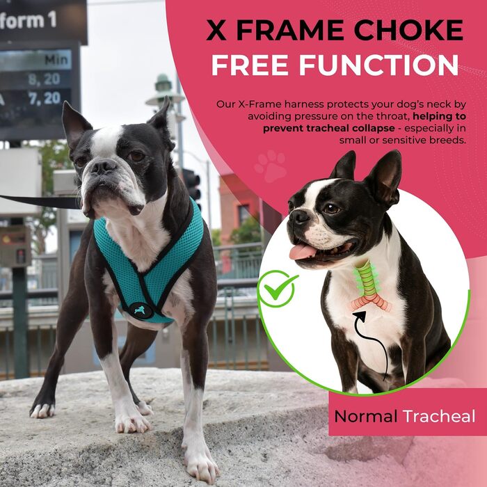 Нашийник для собак Gooby Comfort X для вигулу, комфортний, без ризику задухи, для собак малих та середніх порід, розмір M, колір бірюзовий