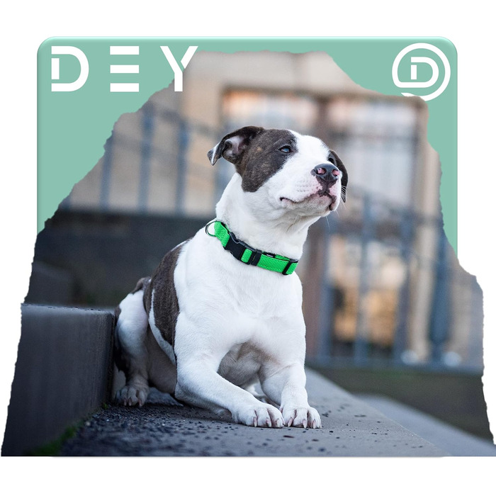 Преміум нашийник для собак DEY Air Mesh | Регульований | для малих, середніх та великих собак | багато кольорів та розмірів | нашийник для собак та котів | нашийники для собак | нашийник для цуценят | Рожевий, M [M/L] - 2,5 x 34-49 см Рожевий