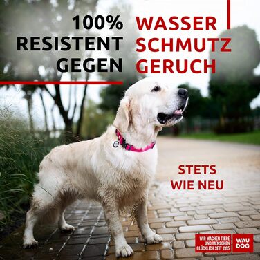 Водонепроникний нашийник для собак WAUDOG: великі, середні та малі породи, регульований, металевий замок, 31-49 см, 25 мм ширина, рожевий колір