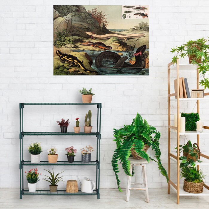 Relaxdays 2-Tier Plant Shelf Set with 4 Shelves