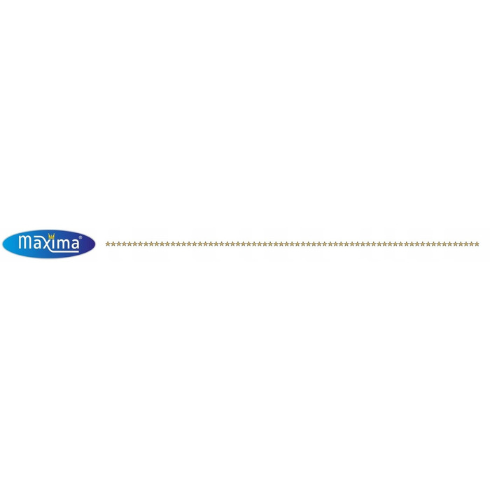 Професійна індукційна плита MAXIMA 2000W 09371000