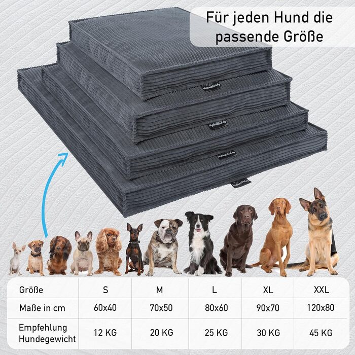 MyBestBuddy Visco Dog Bed Grey 70x50 cm M with POSO-Cord Fabric with Visco Foam and Comfort Foam Flakes, 40°C Washable - Dog Bed/Pet Bed for Small Dogs, 70 x 50 cm