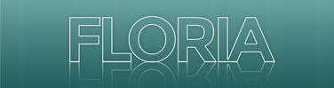 Скороварка Floria 9 л, срібляста