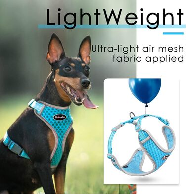 Шлейка для собак ThinkPet No-Pull, дихаюча, для малих, середніх та великих собак, регульована, м'яка, для прогулянок, безпечна, з контролем, з підкладкою, світловідбиваюча (Блакитна, L, 1 шт.)
