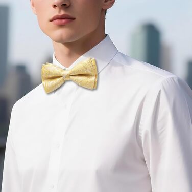 Батерфляй (метелик) Barry.Wang для чоловіків, візерунок пає, шовк, кишеньковий хустинка та запонки, для весілля, вечірки, формальних заходів (жовтий)