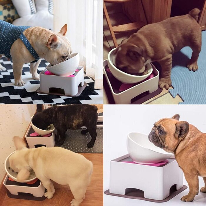 Миска для собак та котів JYHY Bulldog з кераміки, нахилена, з гумовою основою, 1.5 Cup (Чорна/Біла)