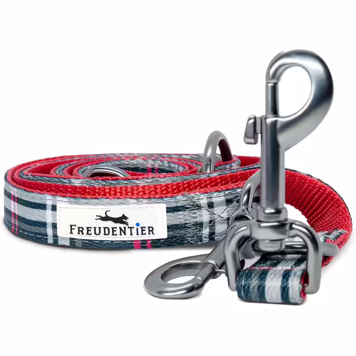 Dog Collar with 2m Leash Set - Adjustable Leash - Edinburgh Collection - Dog Collar for Large Dogs, Collar for Small & Medium Dogs - Dog Collar including Gift Box (30-40cm Neck Circumference)