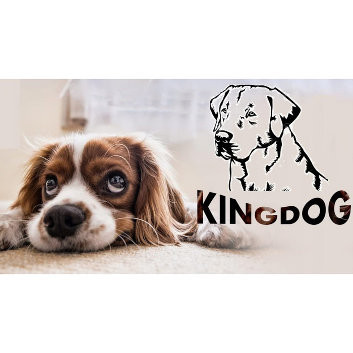 Ліжко для собак та котів KingDog з двома подушками, зручний кошик для домашніх тварин, миється, водонепроникний PVC, розмір M (75x65 см), чорний колір