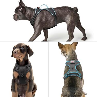 Нашийник для собак з екошкіри, перероблений, для великих та середніх собак, зелений (XS, синій)