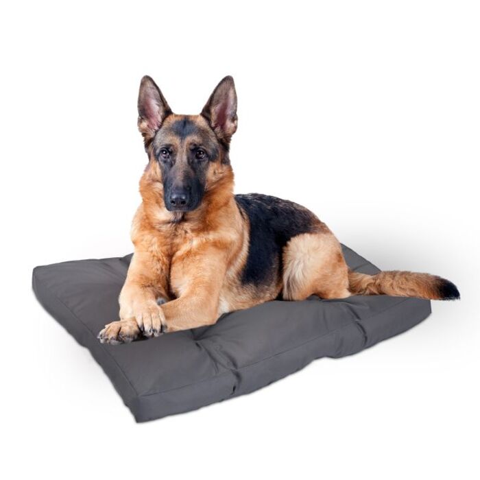 Relaxdays Dog Bed, Grey