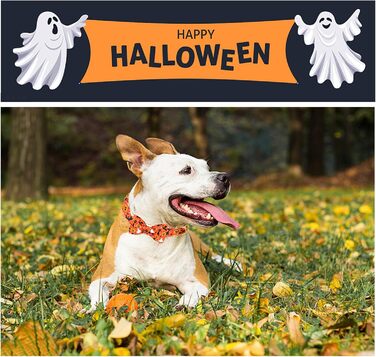 Нашийник для собак Unique Style Paws з метеликом, регульований, для середніх собак (S, 1 шт.), для святкування Хелловіну