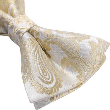 HISDERN Комплект краватки, кишенькового хустинки та краваткових затискачів для чоловіків, Пазлі, для весілля, свят, Різдва, Хелловіну, A1-Бежевий