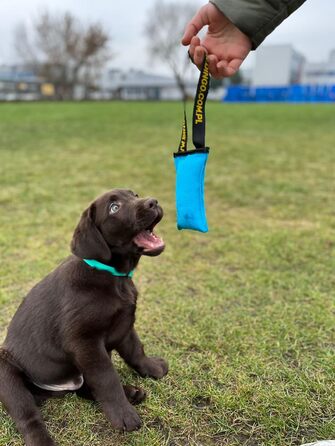 Dingo Dog Toy Bite Sausage Agility Cotton with Handle Handcrafted for Bite Training Fetching Floating, Swim-Friendly, Multicolor, 4 Pieces: 15 cm x 6 cm Z30001