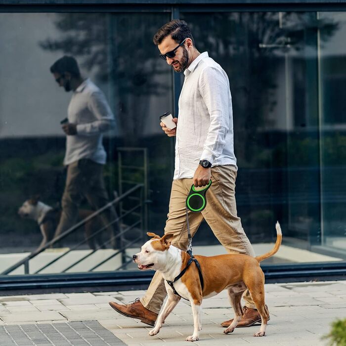 Висувна поводок для собак 8м, високоякісний, до 50кг, для малих, середніх та великих порід (сірий)