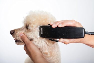 Професійна машинка для стрижки тварин Moser Rex 1230 для собак середніх порід (стара версія)