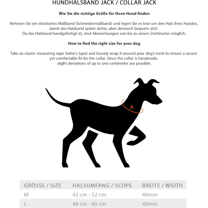 Преміум шкіряний нашийник для собак Джек Рассел з ручкою - надійний нашийник з натуральної шкіри для собак (L, 48.0-60.0 см)