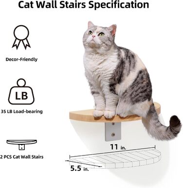 Climbing Wall for Cats, Transparent Room Capsule with 2 Pedals as a Cat Wall Furniture Set, made of Solid Rubberwood, High-Quality Cat Bed for Sleeping, Playing, and Climbing - Supports up to 16KG