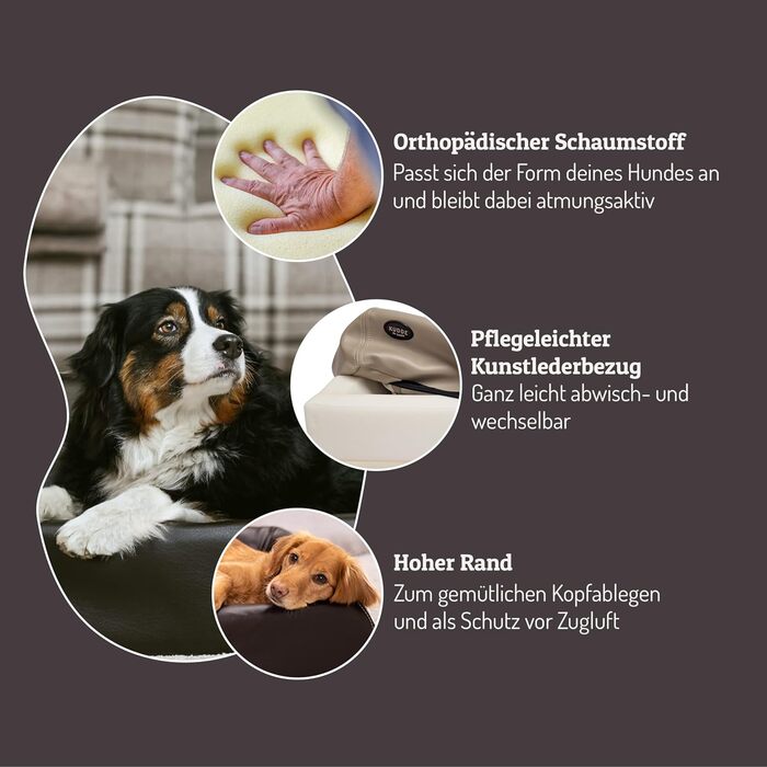 Ортопедичне ліжко для собак SABRO KUDDE Martin Rütter – Штучне шкіряне, миється, водовідштовхувальне, ергономічне, преміум аксесуар для маленьких собак, кремовий колір