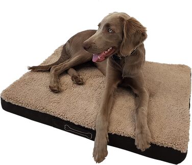 Ортопедична лежанка для собак Diluma Benji - лежанка для тварин з знімним чохлом - лежанка для собак Беж - 100 x 65 x 10 см (L, S 72 x 50 x 8 см)
