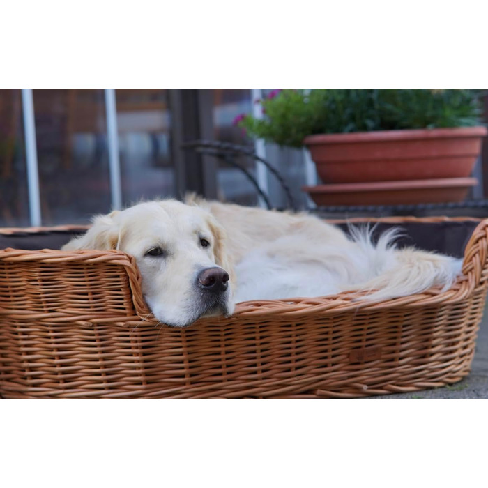 Wicker Dog Basket for Dog and Cat, Dog Bed, Cat Bed with Cushion, Pet Basket, Woven Cat Basket, 60x43 x H19 cm