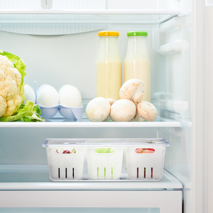 Relaxdays Refrigerator Organizer, 3-Piece Set
