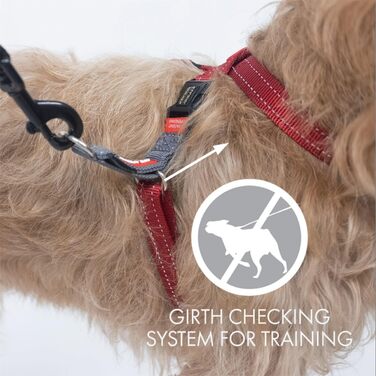 EzyDog Anti-Pull Harness for Dogs - Crosscheck Dog Harness for Small, Medium and Large Dogs, Dog Training Accessories, Reflective, Adjustable Sizes (XS, Red)