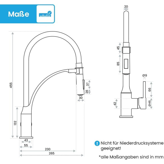 Кухонний змішувач Bächlein Nedo – поворотний на 360° з нержавіючої сталі, з гнучкою голкою та виливним гусаком з перемикачем, для кухні (гнучкий)