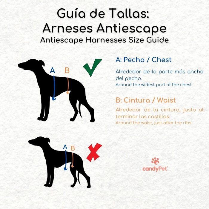 Поясний нашийник для собак, проти витягування, для італійських грейхаундів, віппетів, грейхаундів, подонко - безпечний, дихаючий та довговічний, ідеальний для походів, тренувань та бігу, антрацитовий колір, розмір M