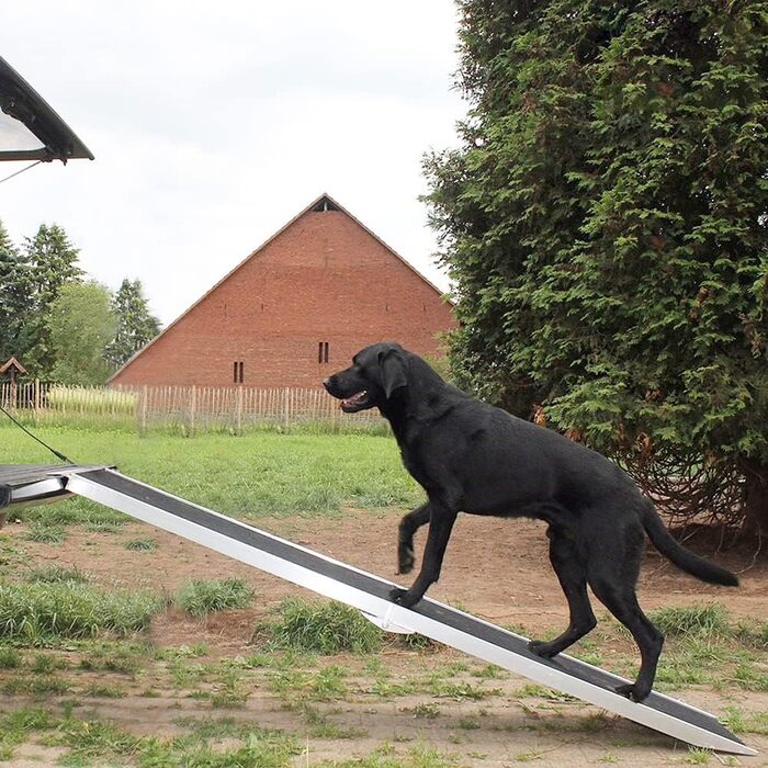 Рампа для собак Petigi: складана, з алюмінію, до 150 кг, довжина 244 см
