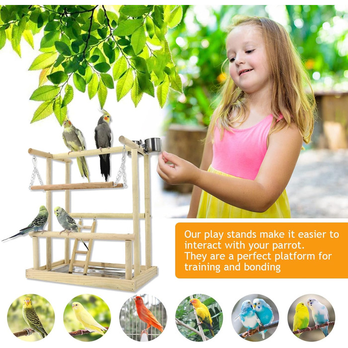 Bird Playground, budgie toys, bird play stand, bird gym, bird accessories, climbing frame with feeder cups, tray, swing for parakeets, canaries, finches, etc. (#8)