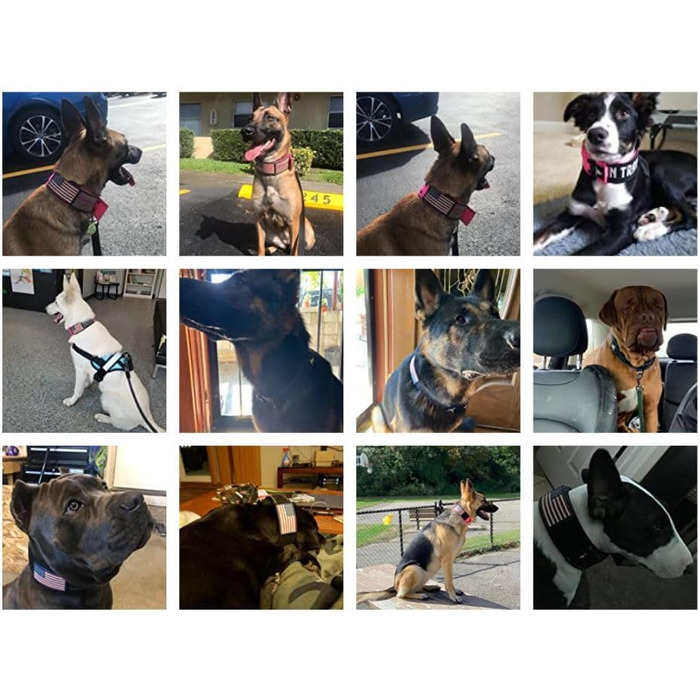 Нашийник для собак K9, тактичний, військового стилю, 5.1 см, міцний нейлон, для великих собак, прапор США (50.8 - 71.1 см, чорний)